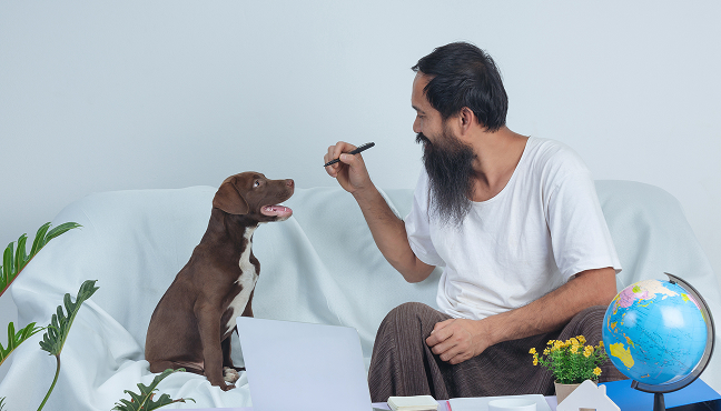 Hundreds of 5-Star Reviews