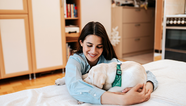 24/7 Emergency Pet Support